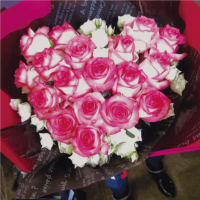 ��B-14�ۥϡ��ȥ֡���