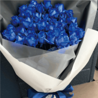 ��B-2001��60���ĥХ�֡���