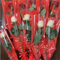 ��B-001�ۥХ�1�ܴ�����