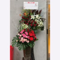 ��FST-14�ۥǥ����󥹥���ɡ�2�ʼ���