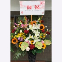 ��FST-11�ۥ���������ɥ�����ɲ�