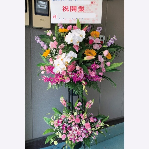 ��FST-13�ۥ��쥬���2�ʼ�������ɲ�