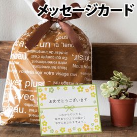 ̵ۥå եȥ åԥ ե ץ쥼 RCP