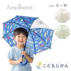 Ampersand ���å� �� �ˤλ� ���λ� S M 45cm 50cm ̾���դ� Ʃ���� ȿ�ͥץ��� ��ե쥯���� �볦���ꥢ �����߷� �Ҷ��� ���ɤ⻱ �̱� �̳� ���ձ� ������ ���襤�� ����� ��ܥ� ��ε ���� �쥤�󥰥å�