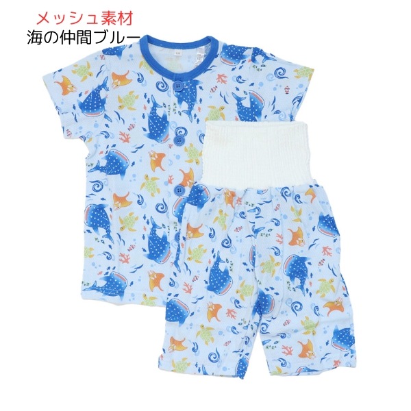 ����������̵���ۥѥ���� �٥ӡ� ���λ� �ˤλ� Ⱦµ Ⱦ���ܥ� ʢ�� �� �Ҷ��� ������ �롼�०���� �岼���å� �Ҷ� ���åȥ� �� ʢ���ѥ���� 80cm 90cm 95cm ���ձ� ���뿲 �ݰ�� ���ع� ������ �� �������� �������