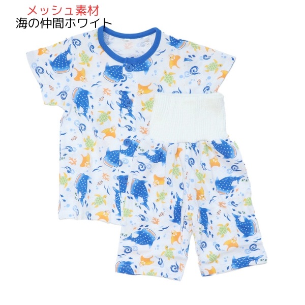 ����������̵���ۥѥ���� �٥ӡ� ���λ� �ˤλ� Ⱦµ Ⱦ���ܥ� ʢ�� �� �Ҷ��� ������ �롼�०���� �岼���å� �Ҷ� ���åȥ� �� ʢ���ѥ���� 80cm 90cm 95cm ���ձ� ���뿲 �ݰ�� ���ع� ������ �� �������� �������