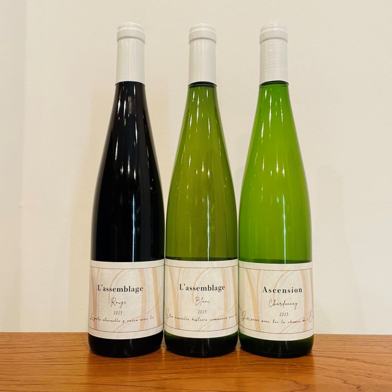 �ɥ᡼�̡��ȥ Ascension Chardonnay 2023