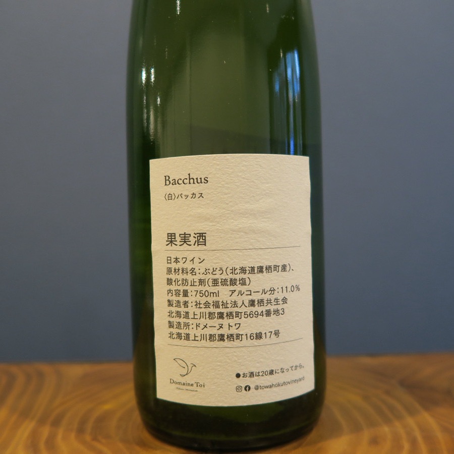 �ɥ᡼�̡��ȥ Bacchus 2024