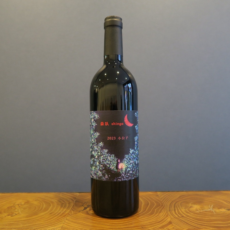 ���� ������ 2023