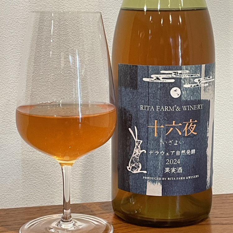 �꥿�ե�����&�磻�ʥ꡼ ��ϻ�� �ǥ饦���� ����ȯ�� 2024