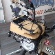 ॺ(JAM'SGOLD) APOLLO ȥХå JGB-1010 衼 COYOTE