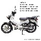 ֥åJA59 JA60 AA04 JA10 AA09 JA44 JA45 ۥåץեåȥꥢ [B-45] V3.0