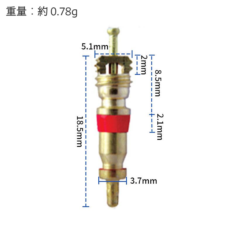 ��������塼���ѥХ�֥������˥å����å��Х�֡�������ɡ�10�ĥ��å�