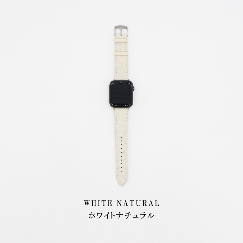 Apple Watch - パイナップル石垣島さん専用Apple Watch SE アップル、37,800円からの新しい「Apple Watch SE」を9月16日