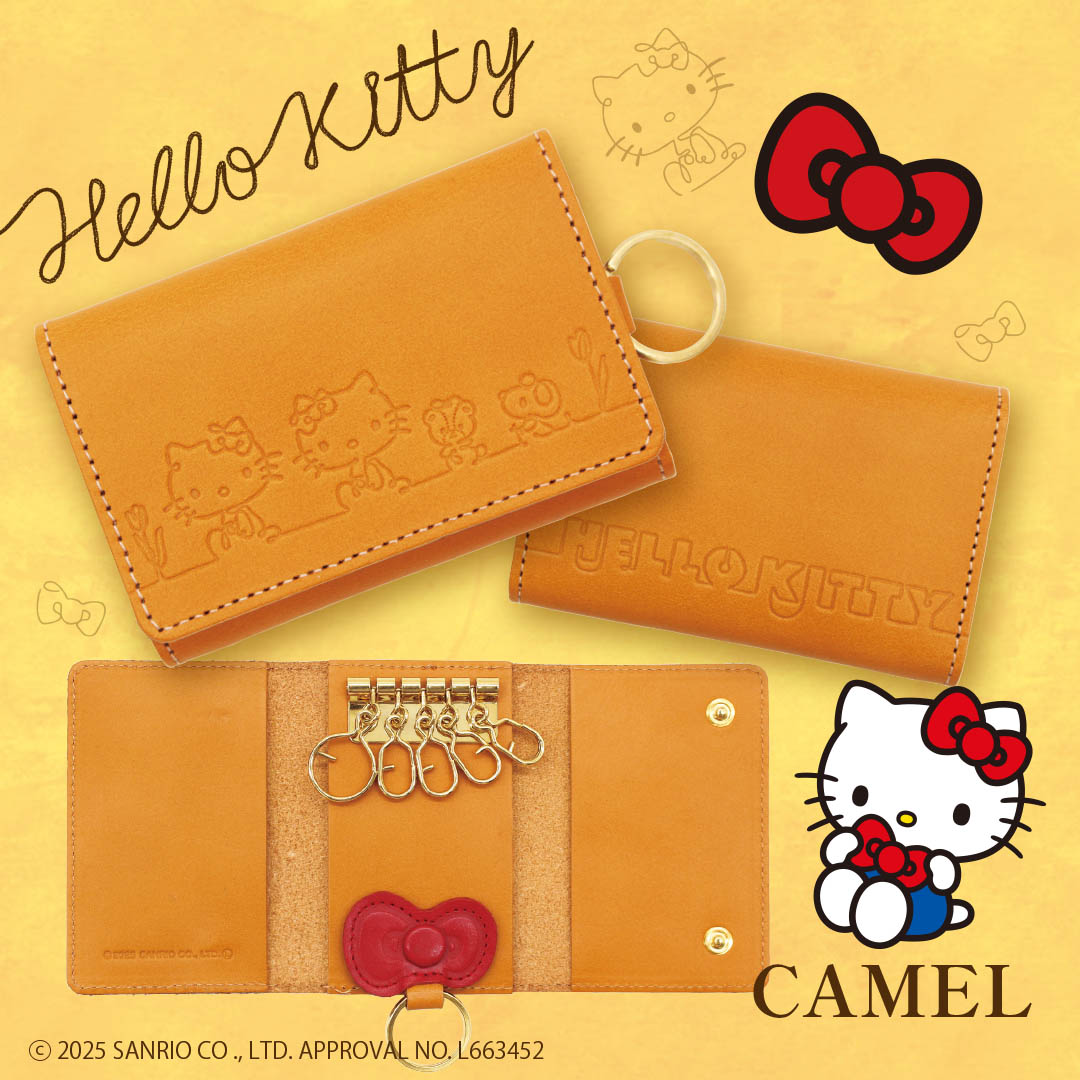 HELLO KITTY/ꥪۥϥƥ ܳ  ܥsan-87156