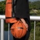 ڥ쥶/leather-gۥХפΥܡۥ6塢7б ̾Բľ [basket-ballholder