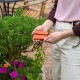 ڥ쥶/leather-gۥХפζ˾  ǥ ݡĥ֥ ̾Բľ [basket-smallwallet