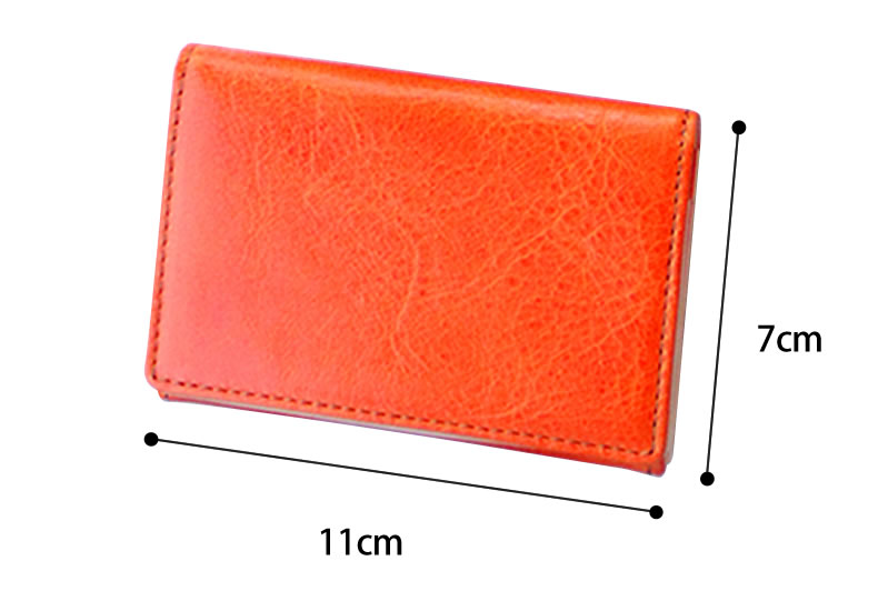 ڥ쥶/leather-gۿʪʤᤷͥ̾CL-B001