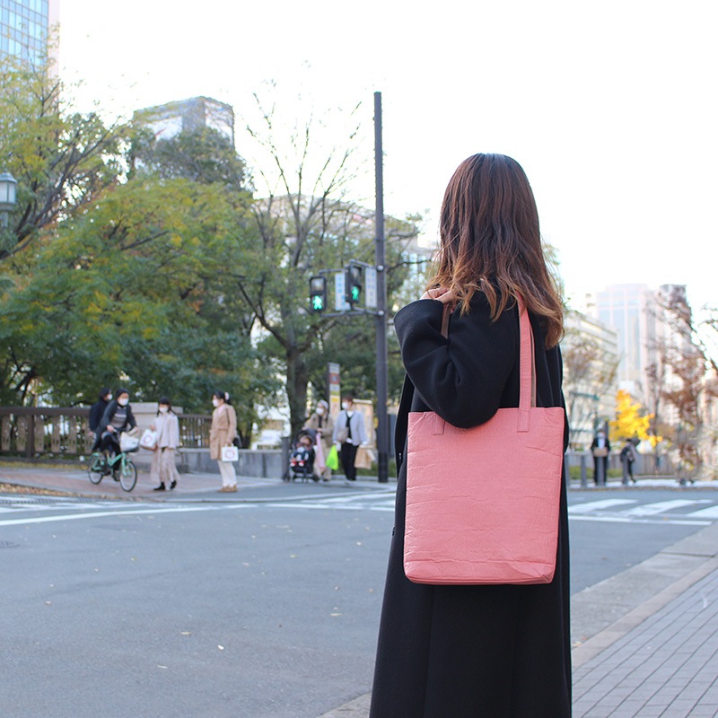 ѥʥåץ뤫줿ȡȥХå Хå ڥԥ˥㡼/pinamore ƥʥ֥ sdgs A4pina-totebag