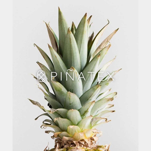 �ڥ����ȥ�åȾ��ʡۥѥ��ʥåץ뤫����줿���������� �ڥԥ˥㡼��/pinamore�� �����ƥʥ֥� sdgs��pina-keycase��