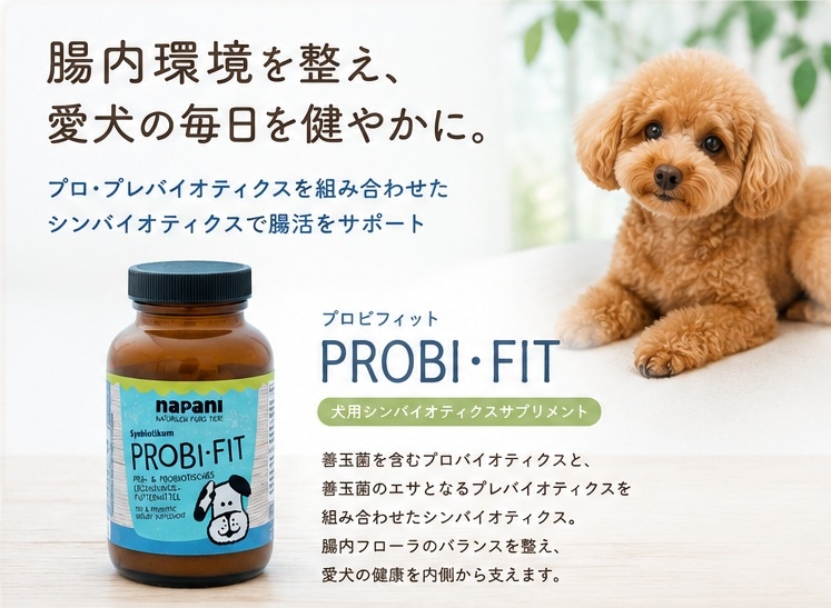 プロビフィット腸内環境ケア 犬用シンバイオティクス（ProBi-Fit