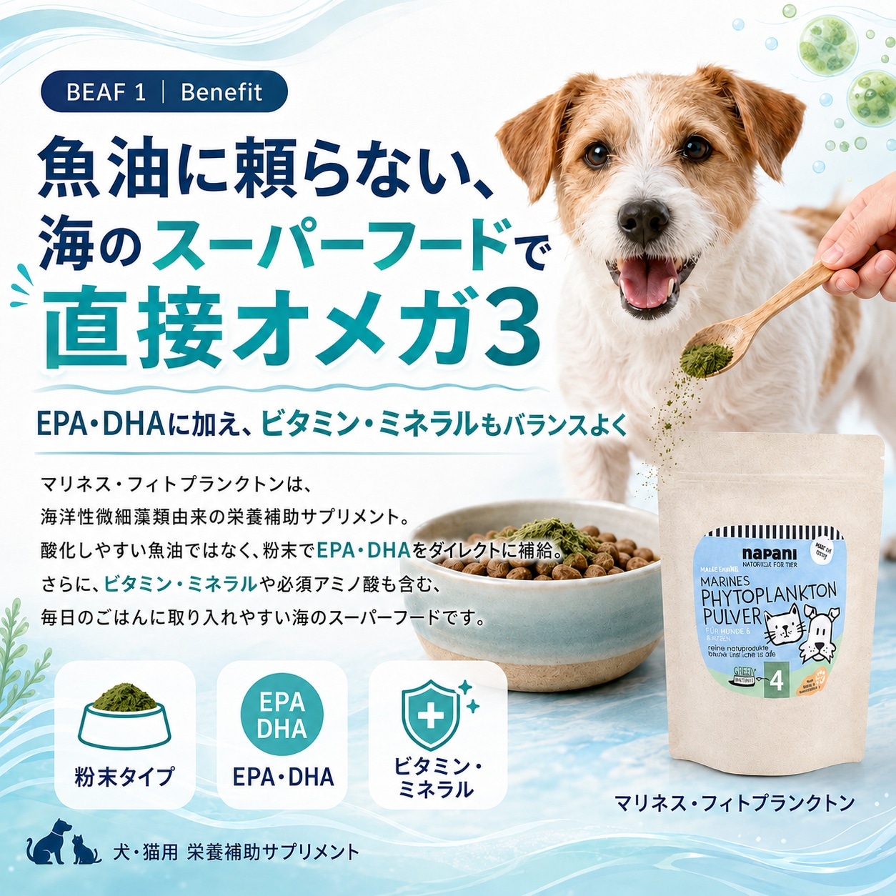 マリネスフィトプランクトン 犬＆猫用（Marines Phytoplankton Pulver
