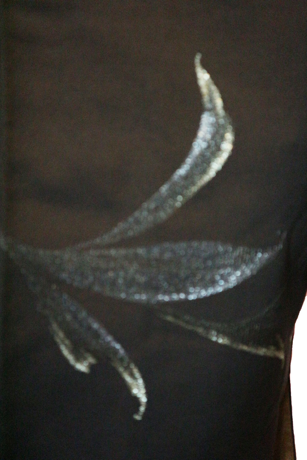 �����ֳ��� ��֡ס���