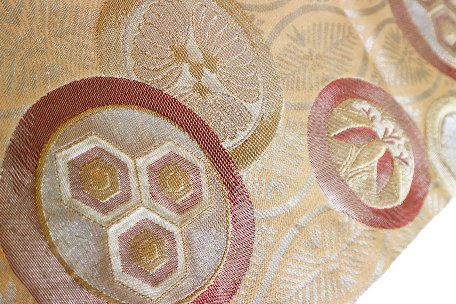 ���ؿ��������ӡִݤ˵��ò�ɩ�ס�