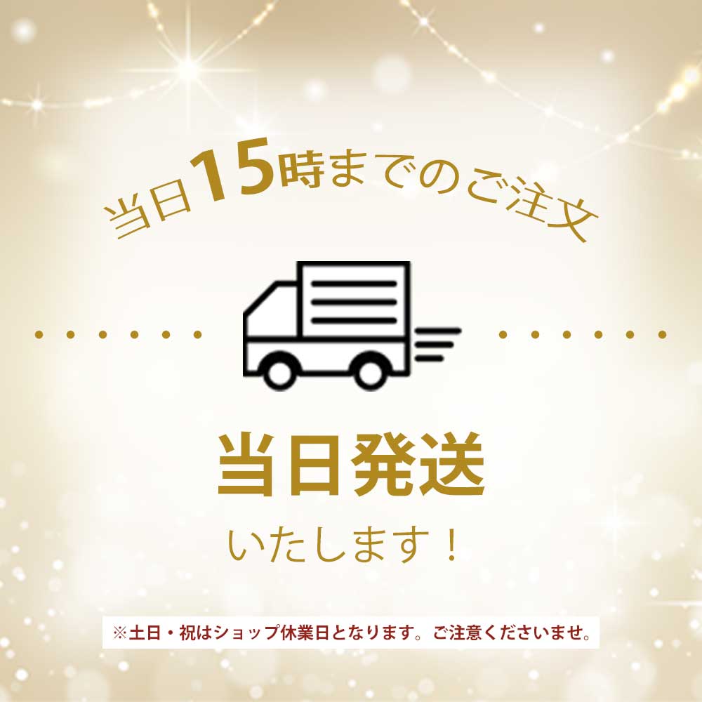 ディズニー] ペンダント ネックレス ティンカーベル ピーターパン 妖精