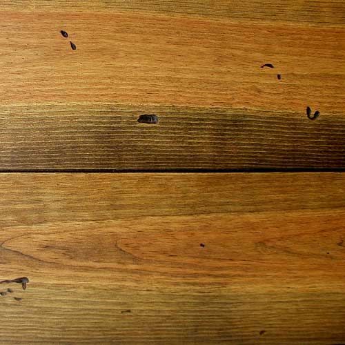 �ڿ����ʡ�Ư����170mm�ۥܥ�ɡ��ѥ���ե�����󥰡����ԥ�������20mm��1.36������