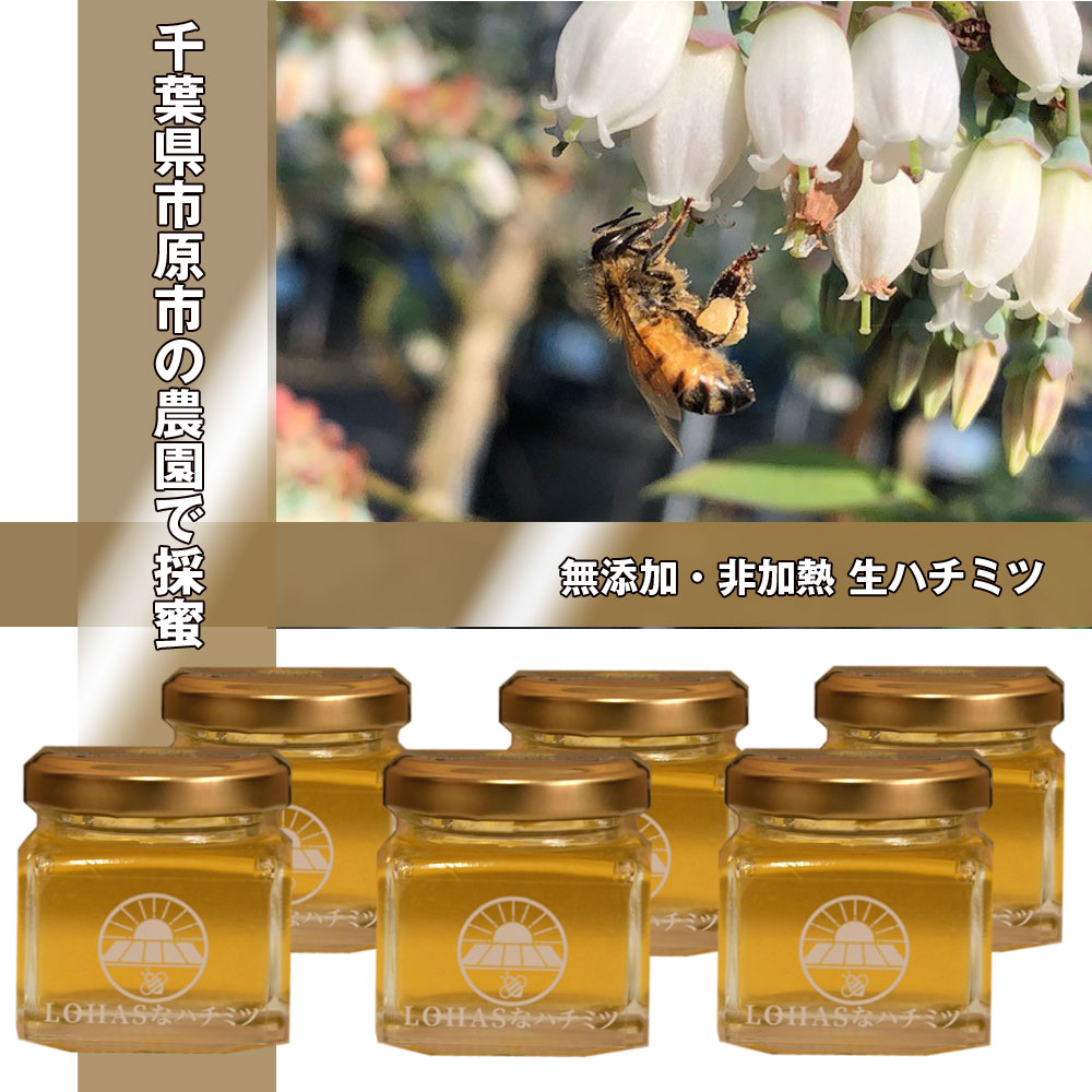 LOHASなハチミツ(6個セット) | 蜂蜜,ハチミツ,市原市,ソーラーシェア
