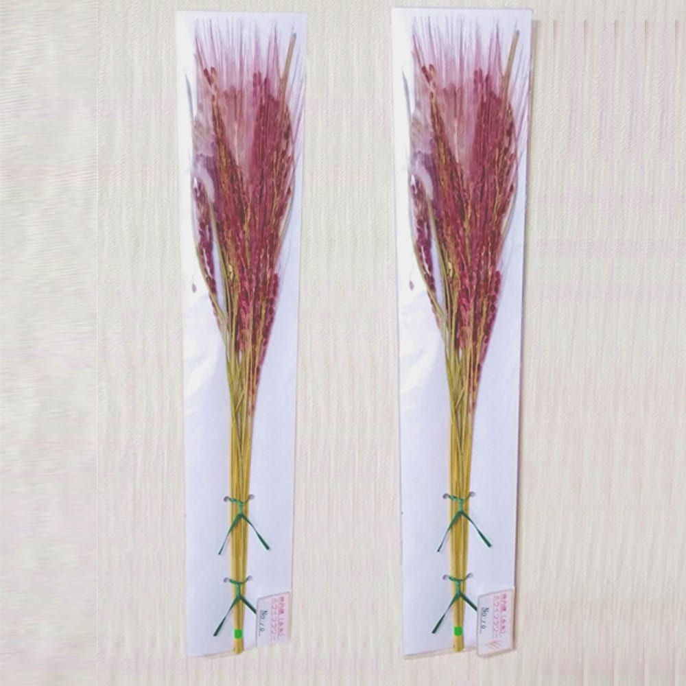 神丹穂ドライフラワー Mサイズ2袋セット | 花・植物,ドライフラワー,長