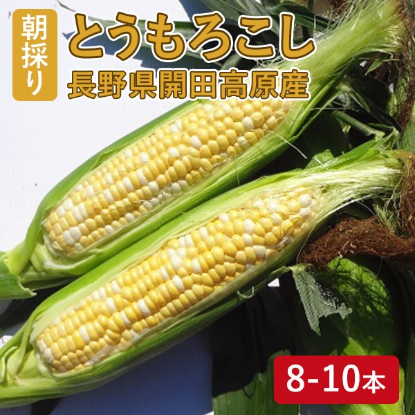 今季の販売は終了しました】とうもろこし8～10本セット (沖縄県・離島