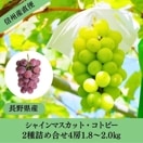 ��ͽ�����䳫�ϡۡ�����ľ���֤ۤɤ�2�� 4˼���å� ���㥤��ޥ����å�2˼ ���ȥԡ�2˼ 1.8��2.0kg ��4˼ �������� �ʲ��츩��Υ���ϰ������Բġ� �֤ɤ� Ĺ�� ���� ��ʪ �ե롼�� ��ƺ ��̵�� �餴��