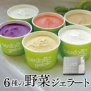 centotto gelato åץ顼6糧å ڴָͰۤ渵 渵 £ʪ եȡʲ졦Υ1090ߡ