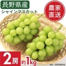 ��ͽ�����䳫�ϡ�������ľ���ۥ��㥤��ޥ����å� 2˼ ��1kg �������� �ʲ��츩��Υ���ϰ������Բġ˷�Ϸ���� �֤ɤ� Ĺ�� ���� ��ʪ �ե롼�� ��ƺ ��̵�� �餴��