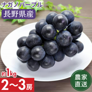 今季分終了】【農家直送】ナガノパープル約1kg 2～3房 送料込み （沖縄