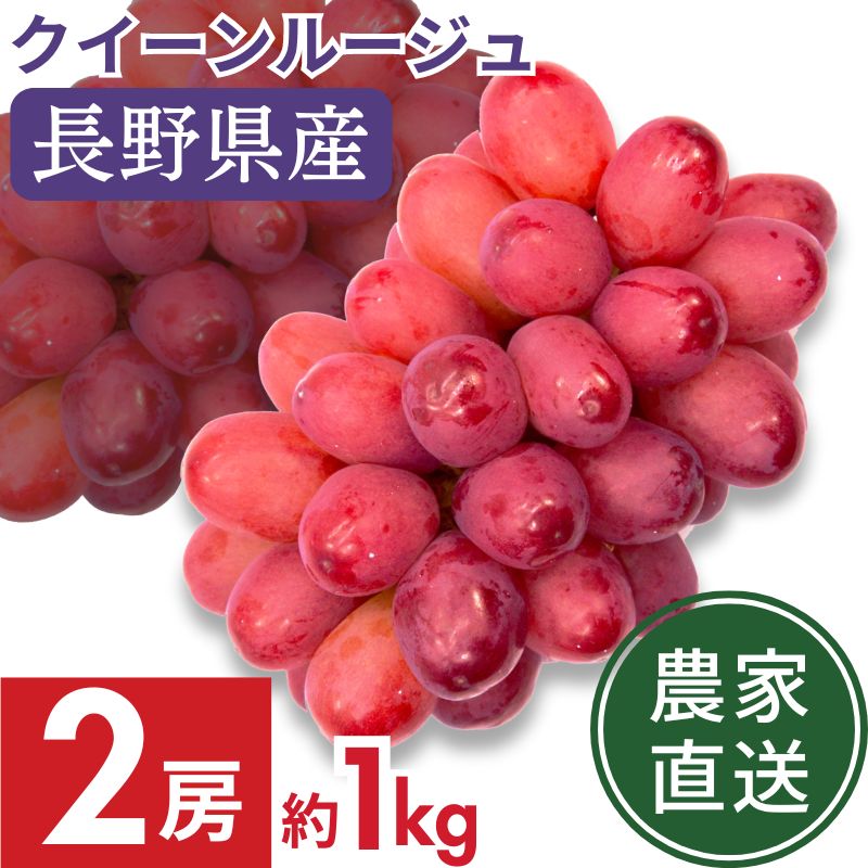 300P還元中】＼出荷開始／【農家直送】クイーンルージュ（R） 2房 約