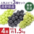 ��ͽ�����䳫�ϡۡ�����ľ���ۥʥ�������2˼���㥤��ޥ����å�1˼�ʥ��Υѡ��ץ�1˼����1.5kg �������� �ʲ��츩��Υ���ϰ������Բġˡ�9��ܰʹ� �缡�в�ͽ��۷�Ϸ���� �֤ɤ� Ĺ�� ���� ��ʪ �ե롼�� ��ƺ