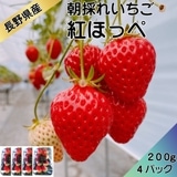 ��300P�Ը���ۡڿ�����ľ�ء�£���� ������ �Ȥۤä�200g��4�������� ���ե�  ����� ���渵 ���渵 £��ʪ Ĺ�� ���� ��