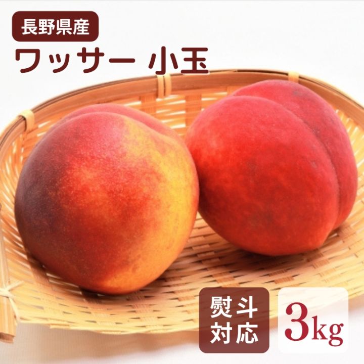 300P還元中】＼予約販売／長野県産 小玉 ワッサー 3キロ 【7月下旬～8