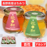 β֡ޤ줿ɴ֡120g 3ܡ& 120g  3ܡˤ˪̪6ܥåȡڥޥ륷쥯ȸ