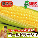 �ں���ʬ��λ���ޤ����ۡ�������ۤȤ���������ڥ�����ɥ�å����12�ܥ��å� (���츩��Υ���ϰ������Բ�) ��Ϸ���� �Ť� �� ����̵�� Ĺ��� ���� �ȥ�������� ���ե� ���� ����ľ�� Ĺ���¼ ��¼ £��ʪ