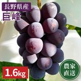 ��ͽ�����䡿������ľ����Ĺ��� ��̵������ 1.6kg��(���츩��Υ���ϰ������Բġ� 9����ܰʹߤ���缡ȯ��