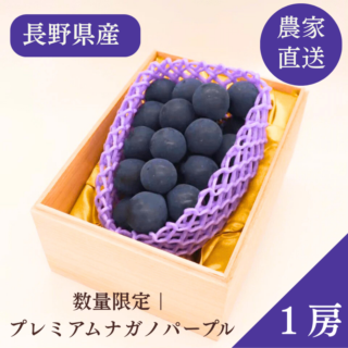 数量限定｜プレミアムセレクション ナガノパープル 1房（桐箱）送料