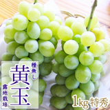 ��ͽ�����䳫�ϡ���˼������۲��̣�kg  2��3˼ ����23��25 ��̵���Ǥ��Τޤ޿��٤���š����֤ɤ� �������� �ʲ��츩��Υ���ϰ������Բġ� 9����ܰʹߤ���缡ȯ��