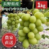 ��ͽ�����䳫�ϡ�������ľ���ۥ��㥤��ޥ����å�1kg�ʲ��츩��Υ���ϰ������Բġ�9����ܺ��в�ͽ��
