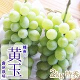 ��ͽ�����䳫�ϡ���˼������۲���2kg 4-5˼ ����23��25 ��̵���Ǥ��Τޤ޿��٤���š����֤ɤ� �������� �ʲ��츩��Υ���ϰ������Բġ� 9����ܰʹߤ���缡ȯ��