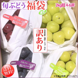 ��ͽ�����䳫�ϡ��ܤΤ֤ɤ� ��������� ʡ�ޣ�kg���å�4��6˼  �������� �ʲ��츩��Υ���ϰ������Բġ� 9����ܰʹߤ���缡ȯ��