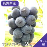 ͽ䳫ϡ 磻ʥ꡼ĤäʥΥѡץ2kg(3˼5˼ ʲ츩ΥϰԲġˡڣܰʹ߽вͽ Ĺѡץ  ֤ɤ Ĺ  ʪ ե롼 ƺ